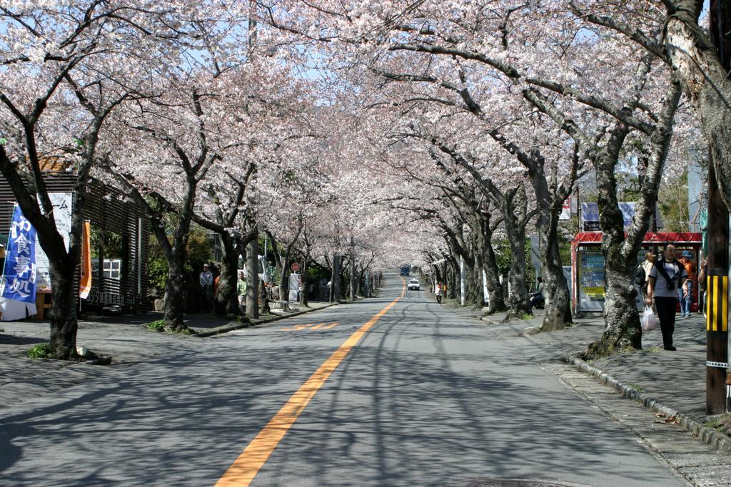 Atagawa Onsen Suikou Hotel Higashiizu Eksteriør billede